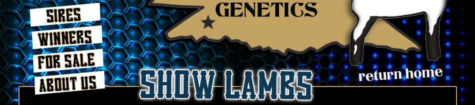 Southern Plains Genetics | Cache, OK